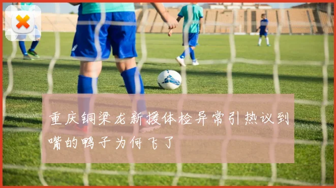 重庆铜梁龙新援体检异常引热议到嘴的鸭子为何飞了