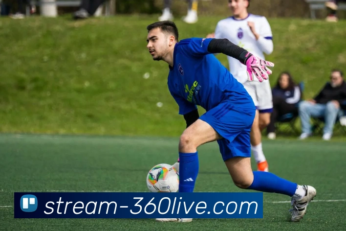 360直播发展历程