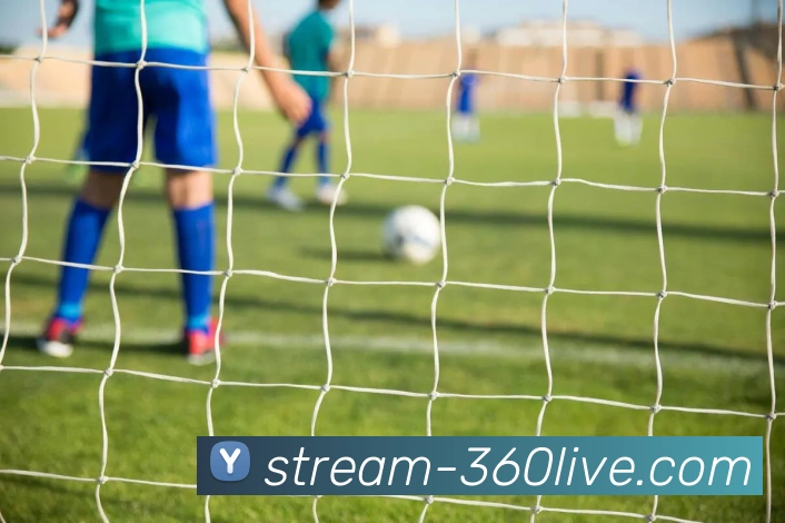 五大联赛的幕后英雄走进球场志愿者聆听他们与足球的温情故事